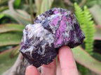 Natural Metallic Cobbed Purpurite Specimens x 12 From Erongo, Namibia - Toprock Gemstones and Minerals 