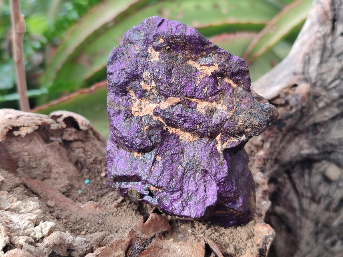 Natural Metallic Cobbed Purpurite Specimens x 12 From Erongo, Namibia - Toprock Gemstones and Minerals 