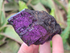 Natural Metallic Cobbed Purpurite Specimens x 12 From Erongo, Namibia - Toprock Gemstones and Minerals 