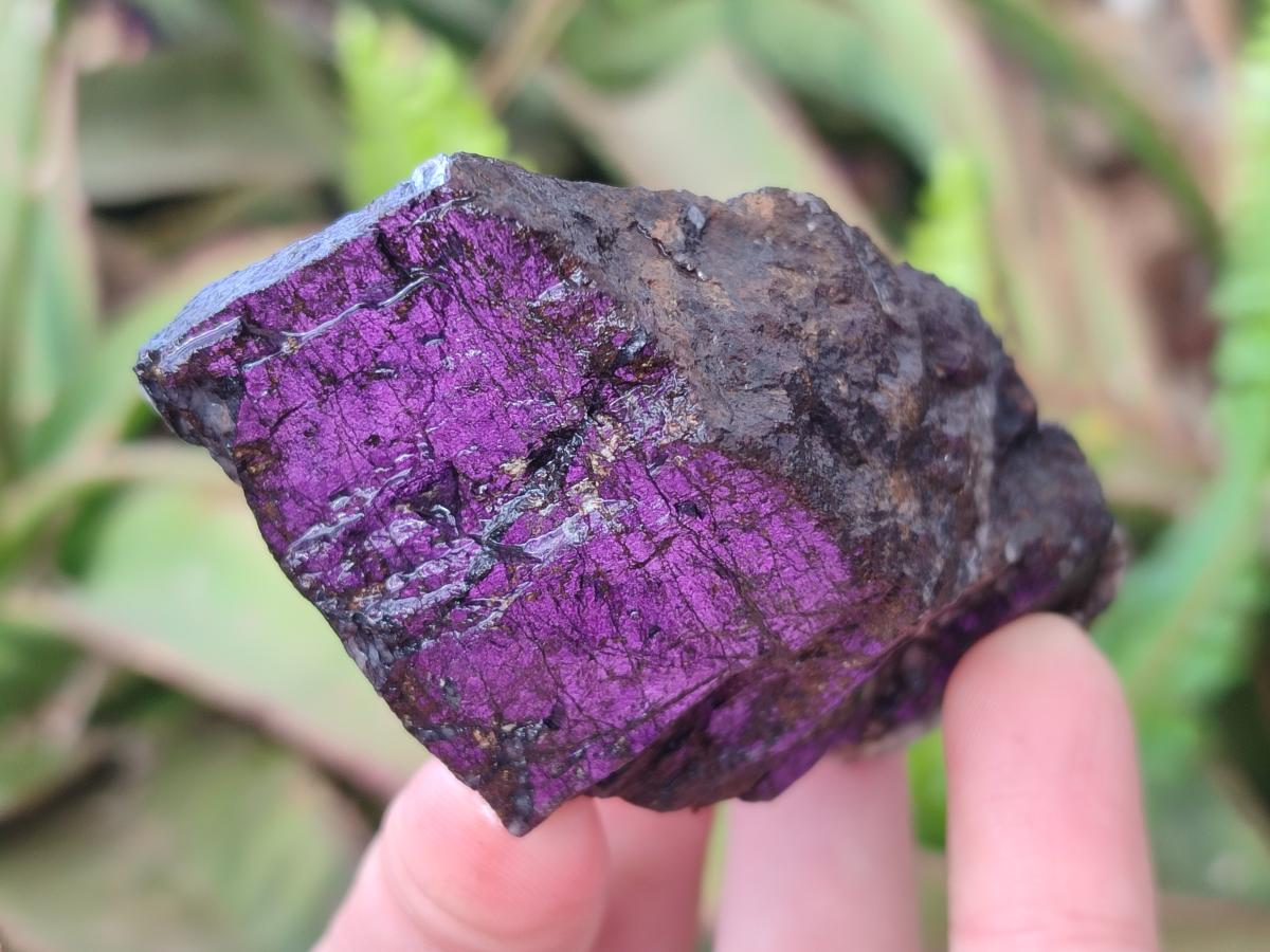 Natural Metallic Cobbed Purpurite Specimens x 12 From Erongo, Namibia - Toprock Gemstones and Minerals 
