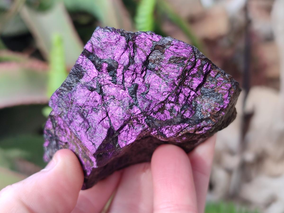 Natural Metallic Cobbed Purpurite Specimens x 12 From Erongo, Namibia - Toprock Gemstones and Minerals 