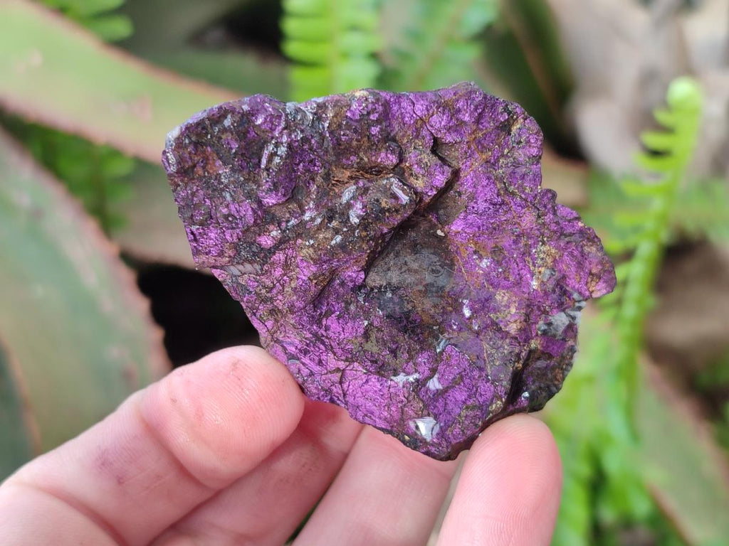 Natural Metallic Cobbed Purpurite Specimens x 12 From Erongo, Namibia - Toprock Gemstones and Minerals 
