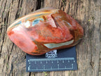 Polished One Side Polychrome Jasper Nodules x 3 From Androka, Madagascar - Toprock Gemstones and Minerals 