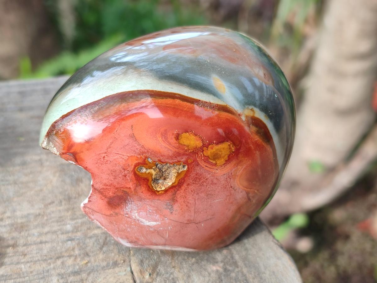 Polished One Side Polychrome Jasper Nodules x 3 From Androka, Madagascar - Toprock Gemstones and Minerals 