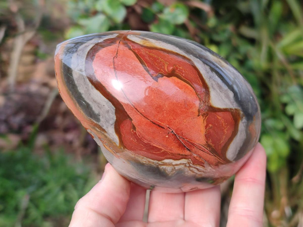 Polished One Side Polychrome Jasper Nodules x 3 From Androka, Madagascar - Toprock Gemstones and Minerals 