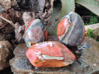 Polished One Side Polychrome Jasper Nodules x 3 From Androka, Madagascar - Toprock Gemstones and Minerals 