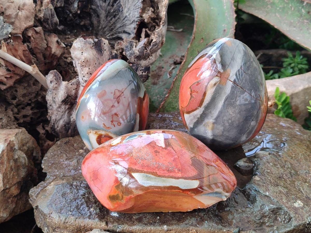 Polished One Side Polychrome Jasper Nodules x 3 From Androka, Madagascar - Toprock Gemstones and Minerals 