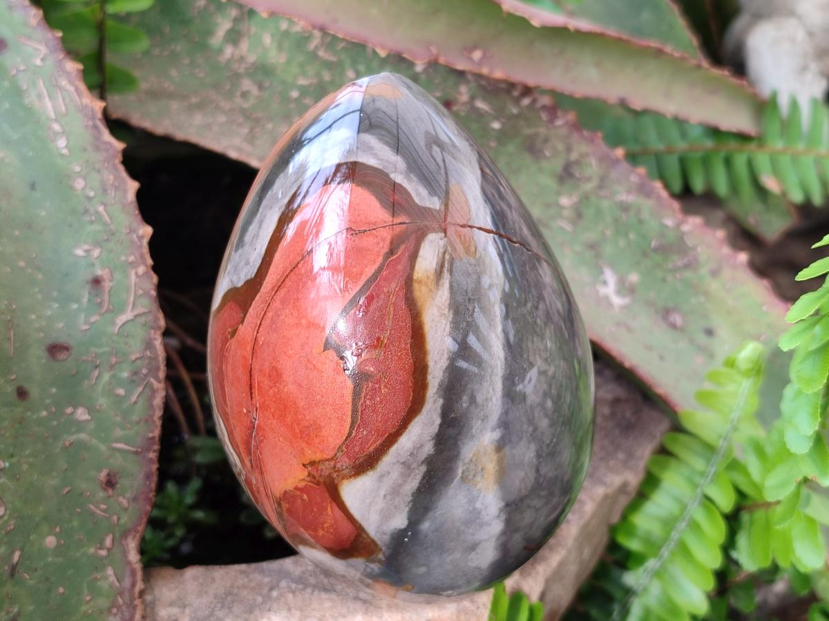 Polished One Side Polychrome Jasper Nodules x 3 From Androka, Madagascar - Toprock Gemstones and Minerals 