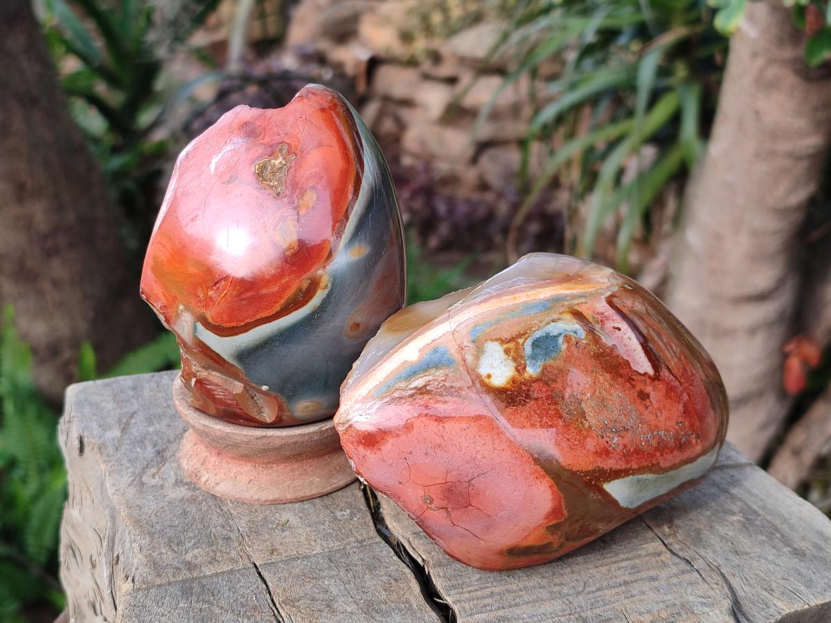 Polished One Side Polychrome Jasper Nodules x 3 From Androka, Madagascar - Toprock Gemstones and Minerals 