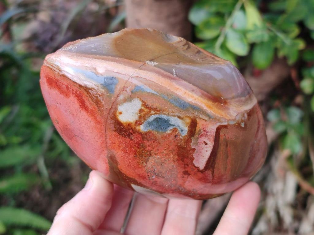 Polished One Side Polychrome Jasper Nodules x 3 From Androka, Madagascar - Toprock Gemstones and Minerals 