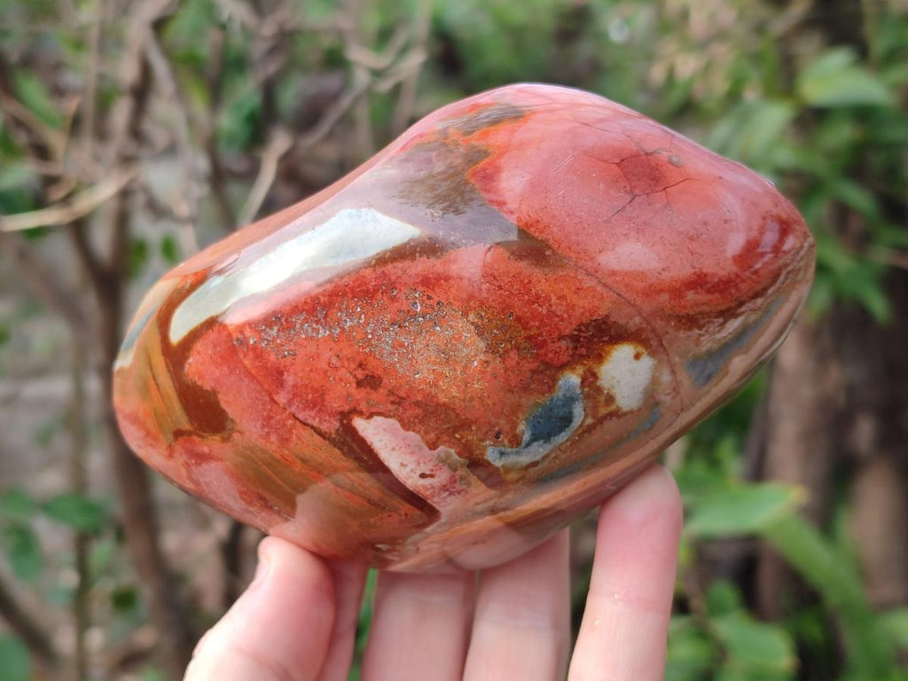 Polished One Side Polychrome Jasper Nodules x 3 From Androka, Madagascar - Toprock Gemstones and Minerals 