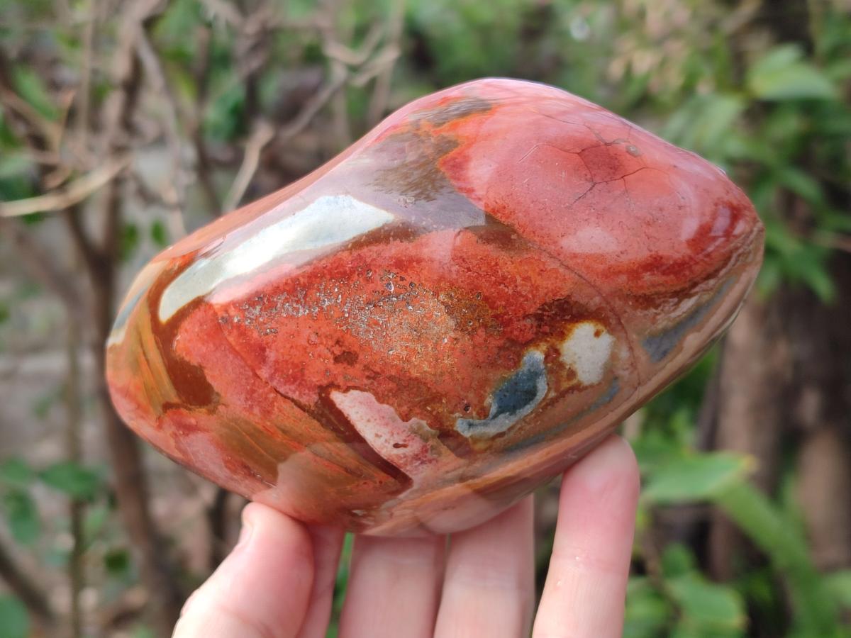 Polished One Side Polychrome Jasper Nodules x 3 From Androka, Madagascar - Toprock Gemstones and Minerals 