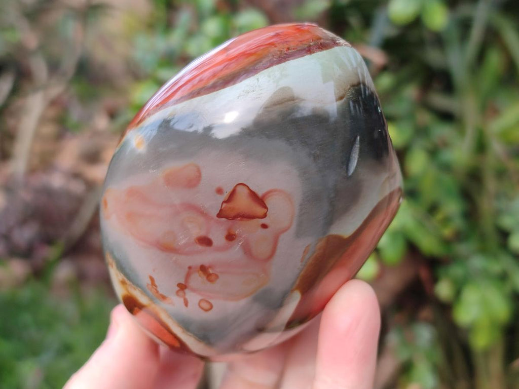 Polished One Side Polychrome Jasper Nodules x 3 From Androka, Madagascar - Toprock Gemstones and Minerals 