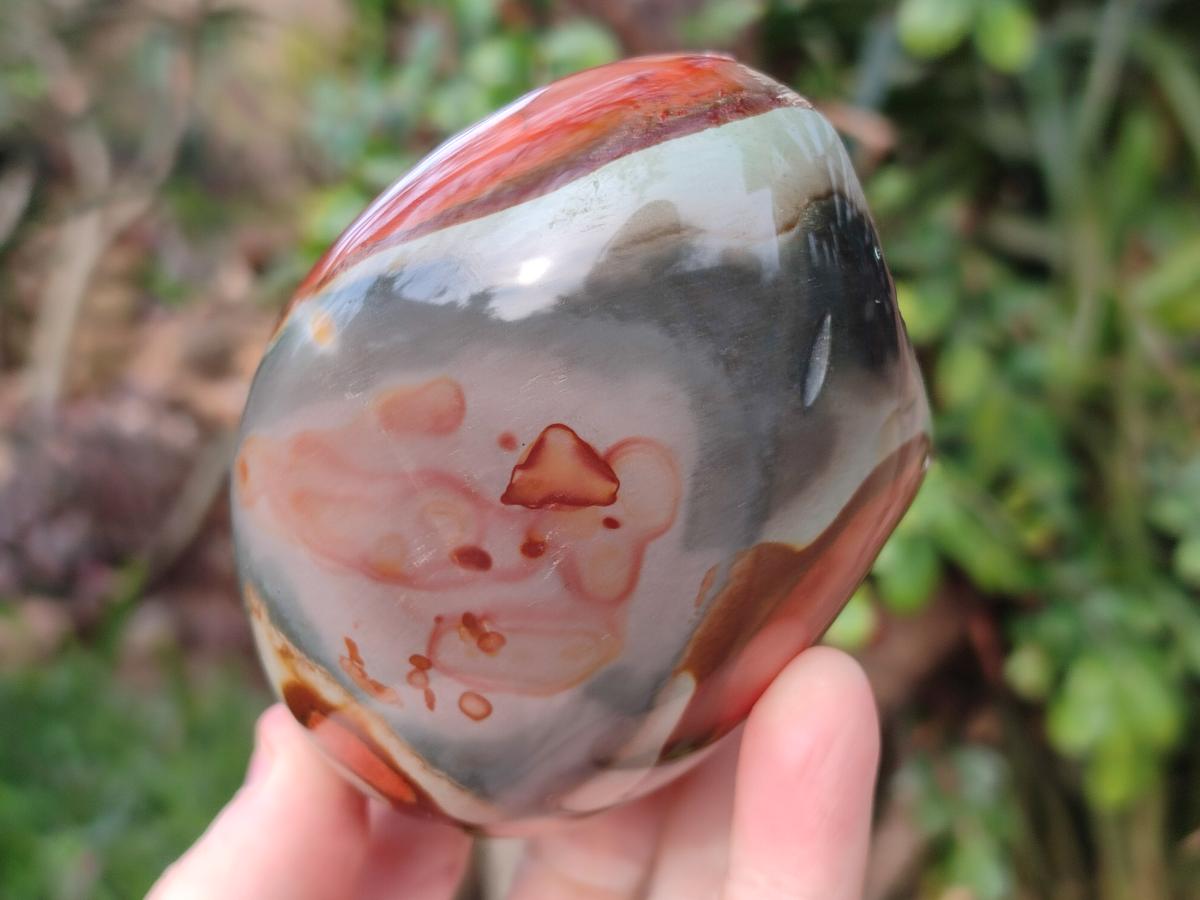 Polished One Side Polychrome Jasper Nodules x 3 From Androka, Madagascar - Toprock Gemstones and Minerals 