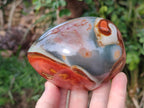 Polished One Side Polychrome Jasper Nodules x 3 From Androka, Madagascar - Toprock Gemstones and Minerals 