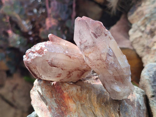 Natural Red Hematoid Quartz Crystals x 12 From Karoi, Zimbabwe - Toprock Gemstones and Minerals 