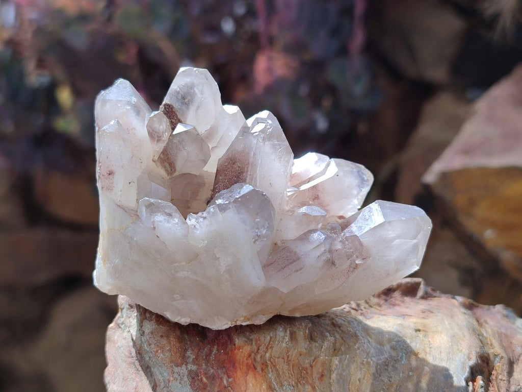 Natural Red Hematoid Quartz Crystals x 12 From Karoi, Zimbabwe - Toprock Gemstones and Minerals 
