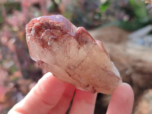 Natural Red Hematoid Quartz Crystals x 12 From Karoi, Zimbabwe - Toprock Gemstones and Minerals 