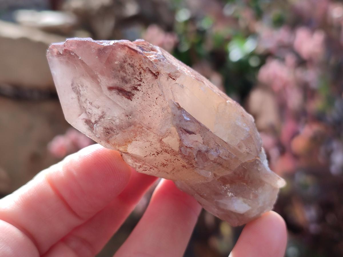 Natural Red Hematoid Quartz Crystals x 12 From Karoi, Zimbabwe - Toprock Gemstones and Minerals 