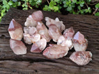 Natural Red Hematoid Quartz Crystals x 12 From Karoi, Zimbabwe - Toprock Gemstones and Minerals 