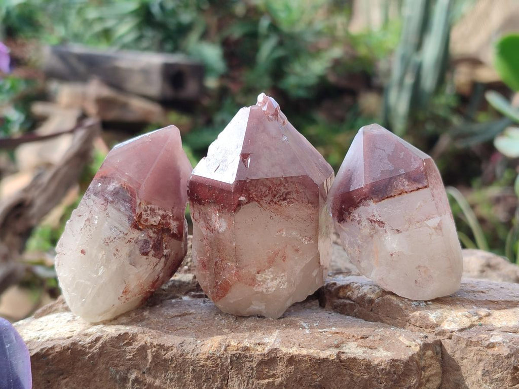 Natural Red Hematoid Quartz Crystals x 12 From Karoi, Zimbabwe - Toprock Gemstones and Minerals 
