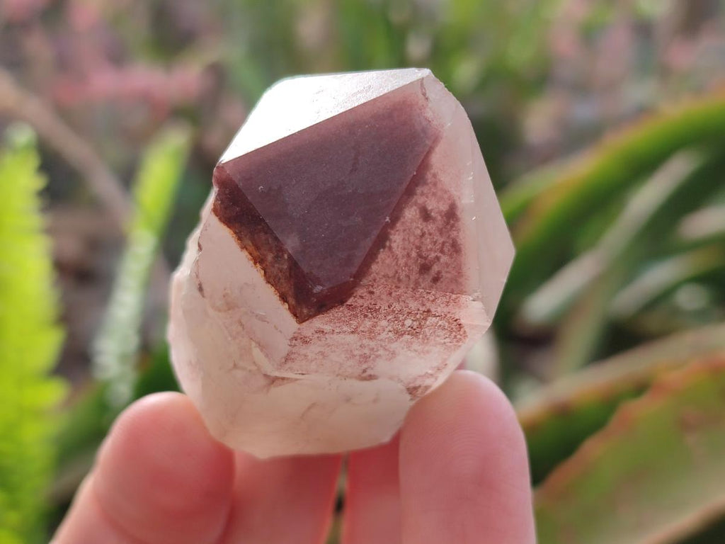 Natural Red Hematoid Quartz Crystals x 12 From Karoi, Zimbabwe - Toprock Gemstones and Minerals 
