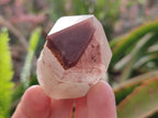 Natural Red Hematoid Quartz Crystals x 12 From Karoi, Zimbabwe - Toprock Gemstones and Minerals 