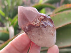 Natural Red Hematoid Quartz Crystals x 12 From Karoi, Zimbabwe - Toprock Gemstones and Minerals 