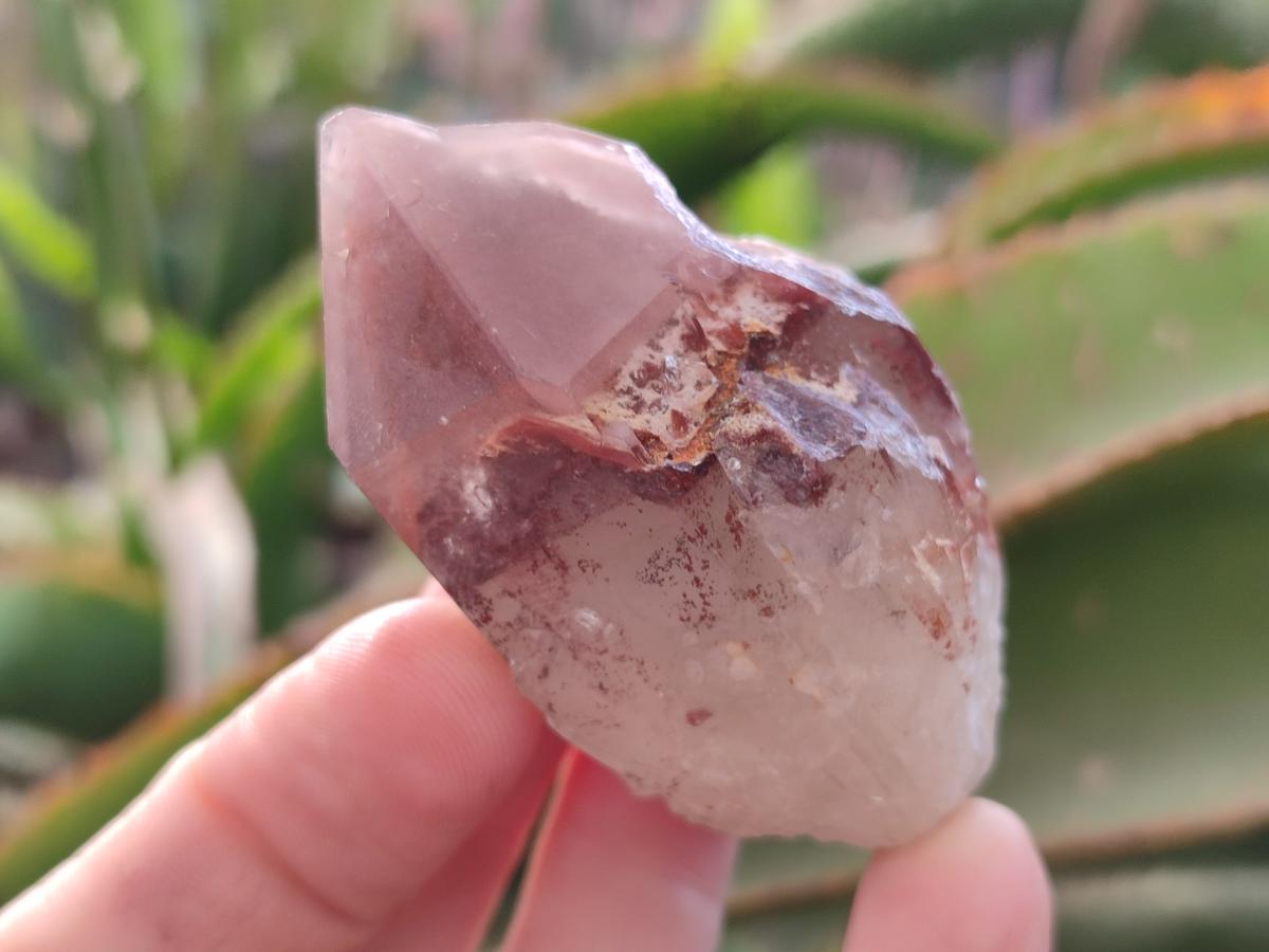 Natural Red Hematoid Quartz Crystals x 12 From Karoi, Zimbabwe - Toprock Gemstones and Minerals 
