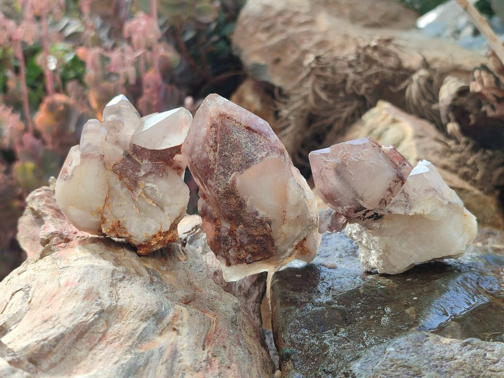 Natural Red Hematoid Quartz Crystals x 12 From Karoi, Zimbabwe - Toprock Gemstones and Minerals 