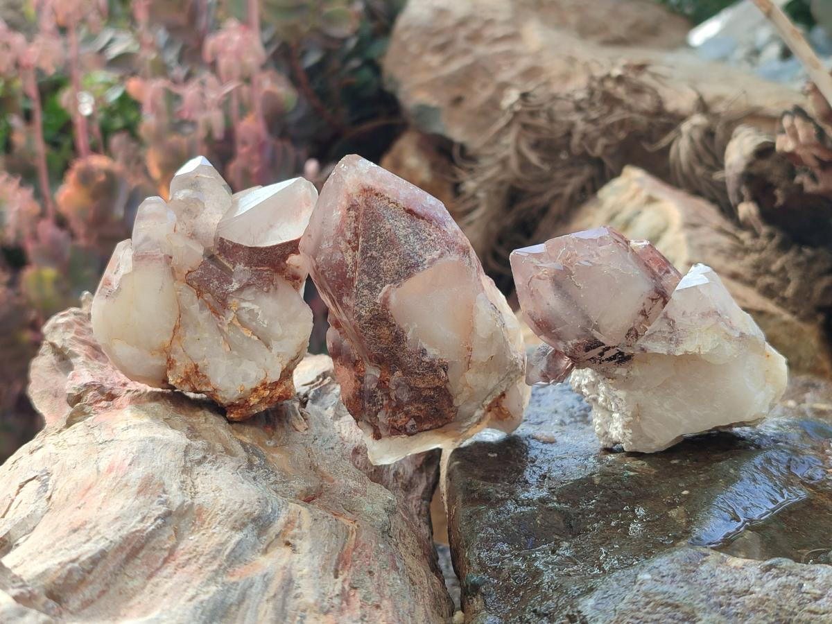 Natural Red Hematoid Quartz Crystals x 12 From Karoi, Zimbabwe - Toprock Gemstones and Minerals 