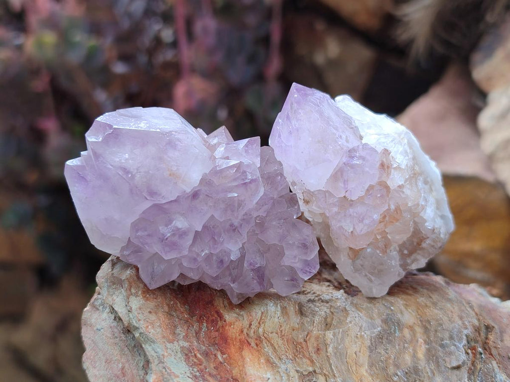 Natural Spirit Amethyst Crystals x 20 From Boekenhouthoek, South Africa - Toprock Gemstones and Minerals 