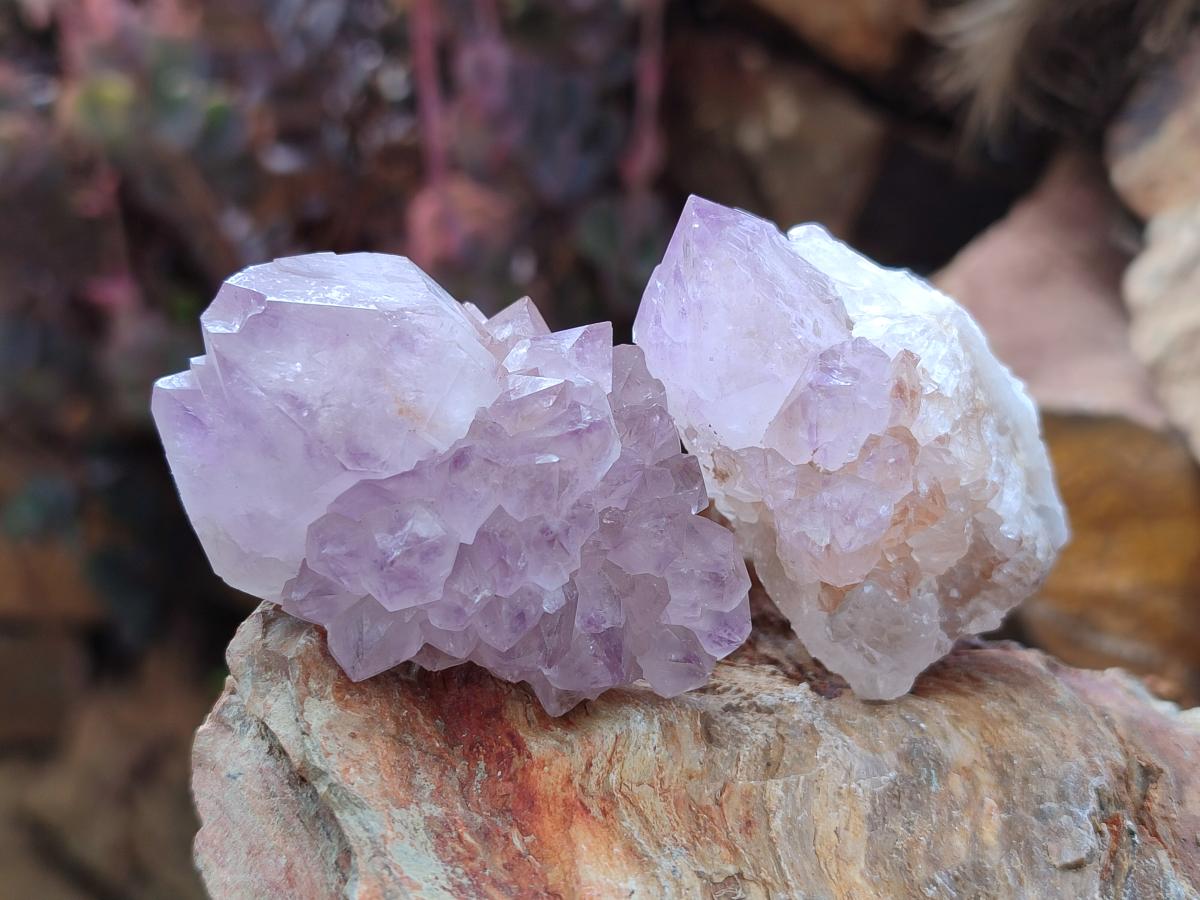 Natural Spirit Amethyst Crystals x 20 From Boekenhouthoek, South Africa - Toprock Gemstones and Minerals 