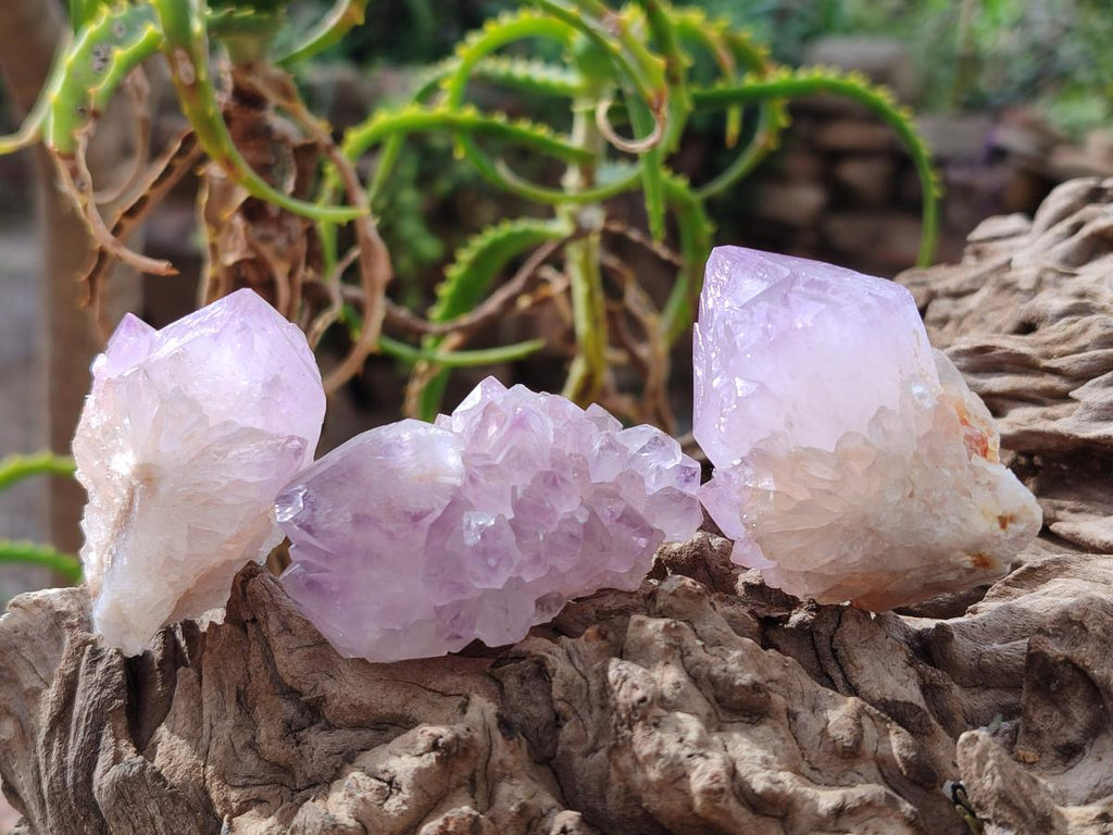 Natural Spirit Amethyst Crystals x 20 From Boekenhouthoek, South Africa - Toprock Gemstones and Minerals 