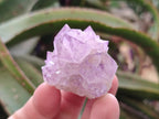 Natural Spirit Amethyst Crystals x 20 From Boekenhouthoek, South Africa - Toprock Gemstones and Minerals 