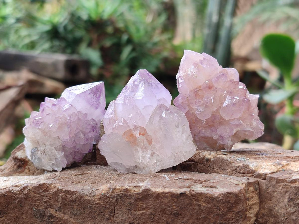 Natural Spirit Amethyst Crystals x 20 From Boekenhouthoek, South Africa - Toprock Gemstones and Minerals 