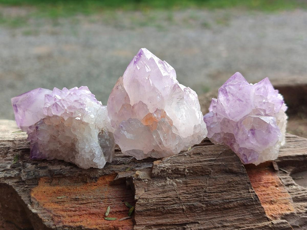 Natural Spirit Amethyst Crystals x 20 From Boekenhouthoek, South Africa - Toprock Gemstones and Minerals 