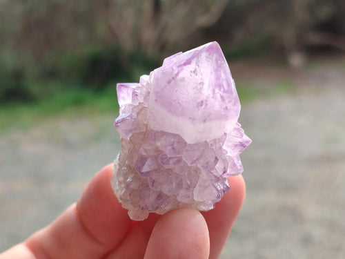 Natural Spirit Amethyst Crystals x 20 From Boekenhouthoek, South Africa - Toprock Gemstones and Minerals 