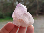 Natural Spirit Amethyst Crystals x 20 From Boekenhouthoek, South Africa - Toprock Gemstones and Minerals 