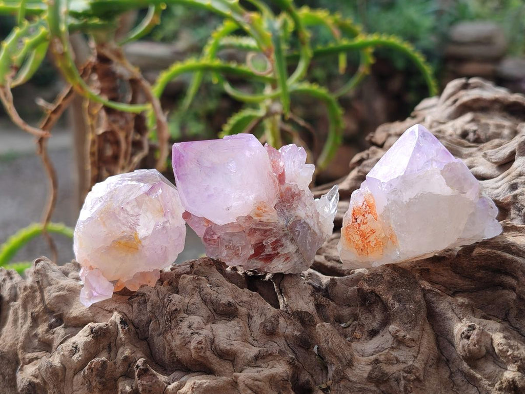 Natural Spirit Amethyst Crystals x 20 From Boekenhouthoek, South Africa - Toprock Gemstones and Minerals 