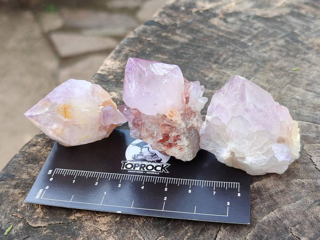 Natural Spirit Amethyst Crystals x 20 From Boekenhouthoek, South Africa - Toprock Gemstones and Minerals 