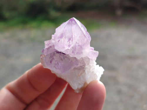Natural Spirit Amethyst Crystals x 20 From Boekenhouthoek, South Africa - Toprock Gemstones and Minerals 