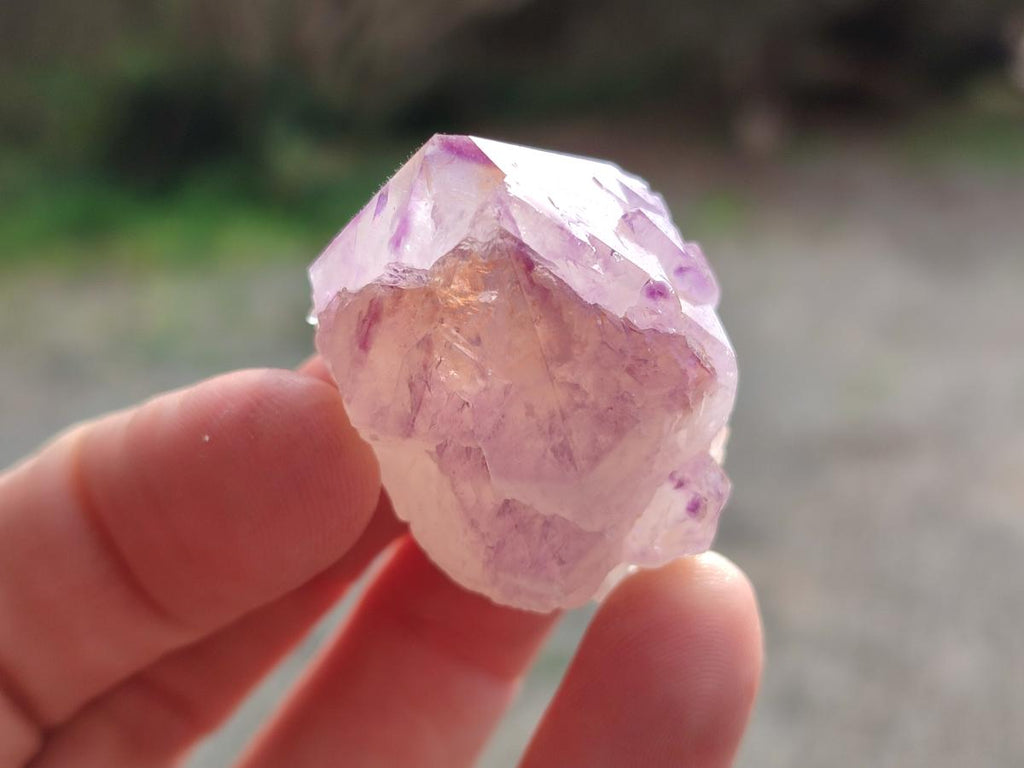 Natural Spirit Amethyst Crystals x 20 From Boekenhouthoek, South Africa - Toprock Gemstones and Minerals 