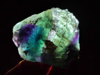 Natural Watermelon Fluorite Cobbed Specimens x 24 From Uis, Namibia - Toprock Gemstones and Minerals 