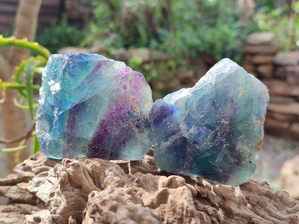 Natural Watermelon Fluorite Cobbed Specimens x 24 From Uis, Namibia - Toprock Gemstones and Minerals 