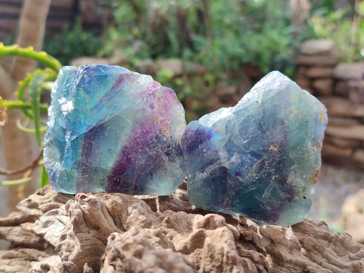 Natural Watermelon Fluorite Cobbed Specimens x 24 From Uis, Namibia - Toprock Gemstones and Minerals 