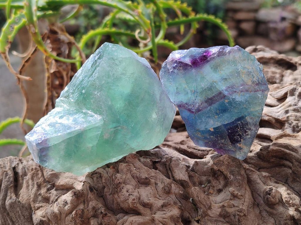 Natural Watermelon Fluorite Cobbed Specimens x 24 From Uis, Namibia - Toprock Gemstones and Minerals 
