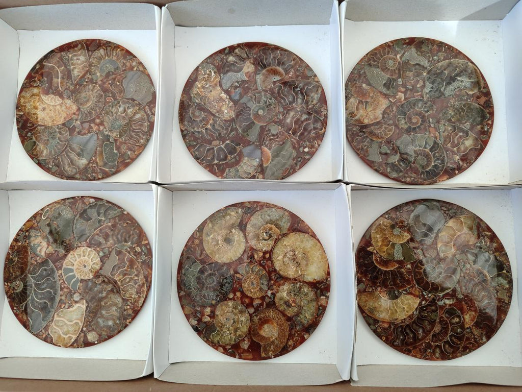 Hand Made Ammonite Conglomerate Table Coasters x 6 From Mahajanga, Madagascar - Toprock Gemstones and Minerals 