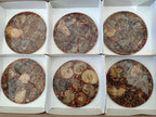 Hand Made Ammonite Conglomerate Table Coasters x 6 From Mahajanga, Madagascar - Toprock Gemstones and Minerals 
