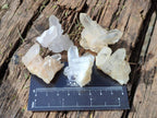 Natural Malagasy Quartz Clusters x 35 From Madagascar - Toprock Gemstones and Minerals 